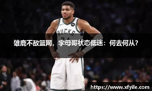 jbo竞博电竞平台